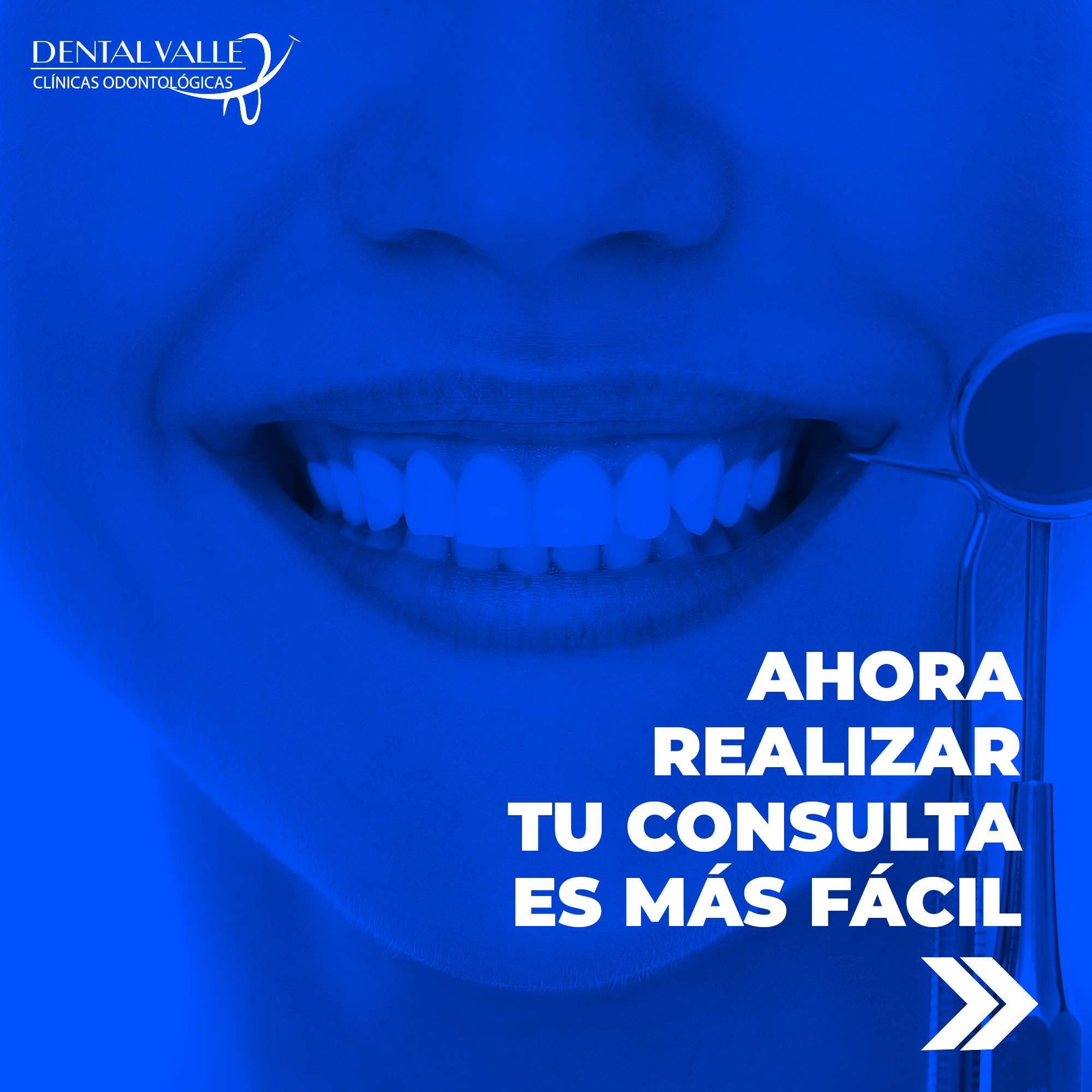 Diseño Gráfico - Dental Valle